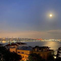 Luxury apartment with Bosphorus view