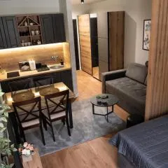 Apartman Aleni - Bela Reka, Brzeće
