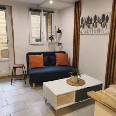 Studio spacieux aux portes de la Camargue