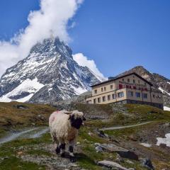 ホテル シュヴァルツゼー（Hotel Schwarzsee）