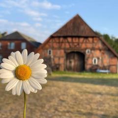 Ferienwohnung Elbsegler