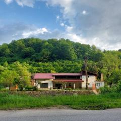 Transilvania 10 - Casa Poarta Văii Jiului