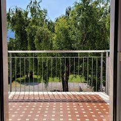 La Betulla