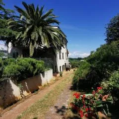 Apartment Kira - spacious apartment with sea view