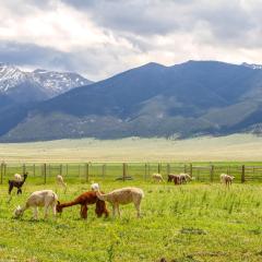 Mountain-View Montana Rental Cabin on Alpaca Farm!