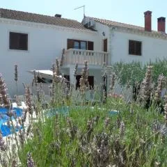 Apartments with swimming pool Zrnovo, Korcula - 21436