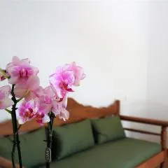 ΤΟ ΚΑΜΙΝΙ ΤΟΥ ΜΗΛΑ