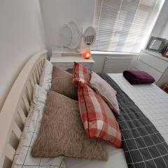 Nice and comfortable Shared Flat in Surbiton
