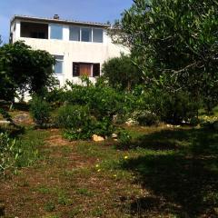 Apartment Prvic Sepurine II