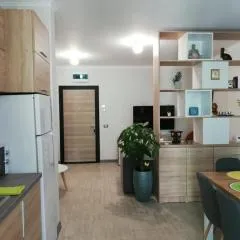 Apartament Blue Shine