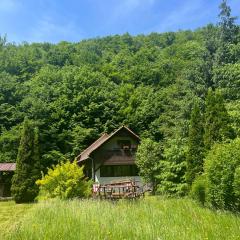 Cottage by the river Valea Draganului