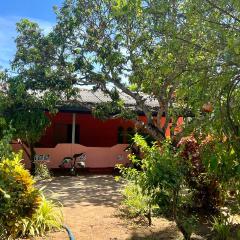 Coconut Leaf Shadow Guest