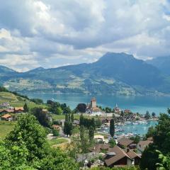 Swiss Holiday Apartments