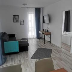 New Apartament Baia Mare 20