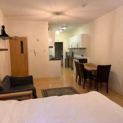 Studio Flat In Central London