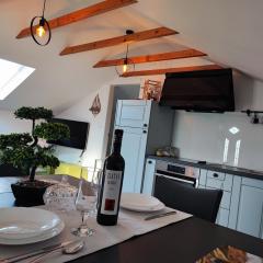 Apartman Solis