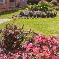 Oasis de confort: habitación