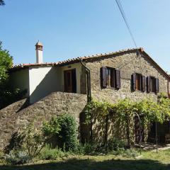 Lovely estate not far from Florence with olives trees