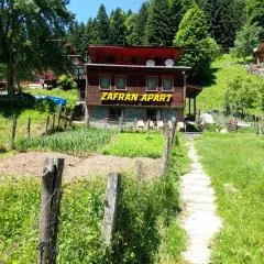 Villa Zafran Apart