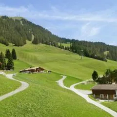 Salvenalm