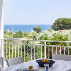 Color Dream Residence