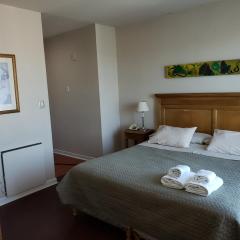 PREMIUM MENDOZA