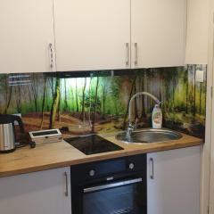 Apartament przy Starym Mieście