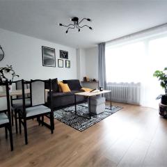 Apartament Mineralny