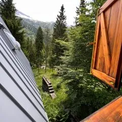 ~Chalet_Rifugio tra i boschi~