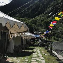 Ghangaria camp resort