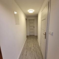 Apartament Kasztanowa 2