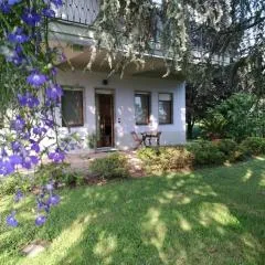 Blue House