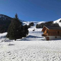 Appartement Centre du village ALPE DU GRAND SERRE