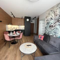 Calipso Jurowiecka, centrum, klimatyzacja - parking gratis !