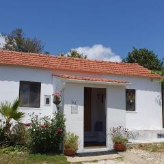 The Cottage near the lake