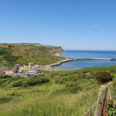 Saltburn Holidays 3 Park View