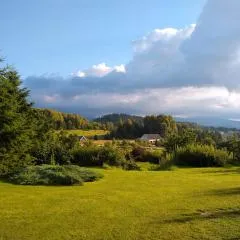 Domek pod borówką