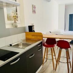 Charmant studio rénové avec terrasse, clim, et WIFI à 50m des Thermes - idéal pour curistes - FR-1-703-157