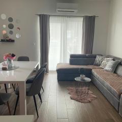 Apartman OZANA