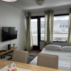 Apartman Iva