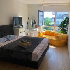 One bedroom 3pieces entire Modern Appartment close to Airport, CERN, Palexpo, public transport to the center of Geneva