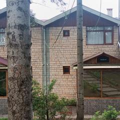 Village house with garden