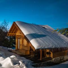 Chalet individuel à proximité de la station Les 7 Laux