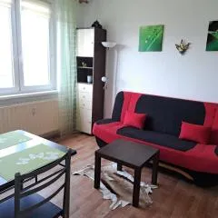 Apartmán v podhůří Krušných hor