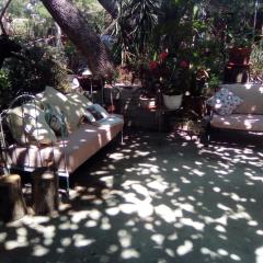 Sous les pins