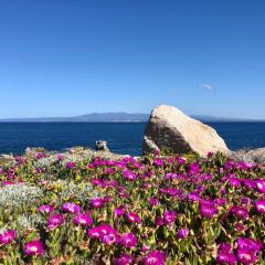 Relaxing Cristal Bedroom apartment sleeps 5 persons