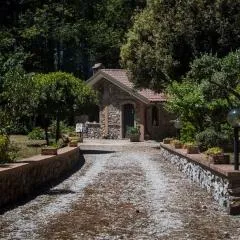 La pace dei sensi