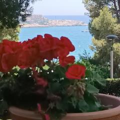 Beach & Flowers Free Parking