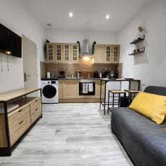 Studio climatisé avec cour privé en Rez-de-chaussée centre historique