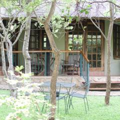 Twin bed lodge on natural African bush - 2111
